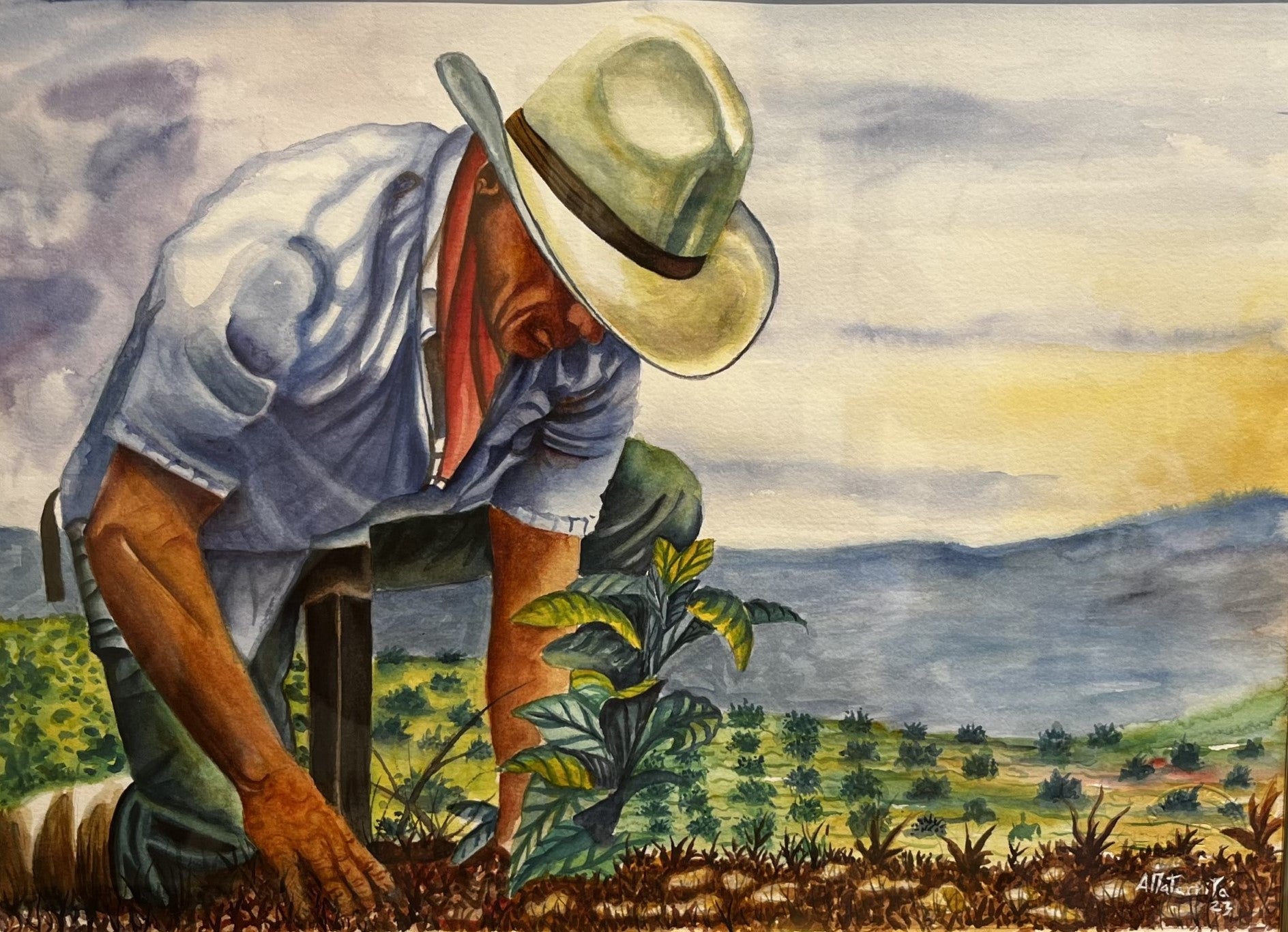 Mata de Cafe – Galeria 1084 - Fine Art, Jewelry and Decor
