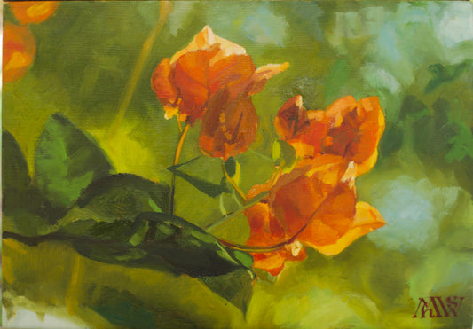 Morning on the Porch (Bougainvillea)