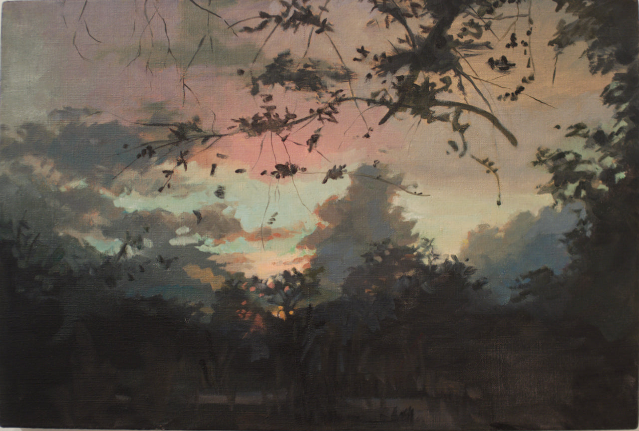 Sunset Out Back (Yland Ylang Tree)