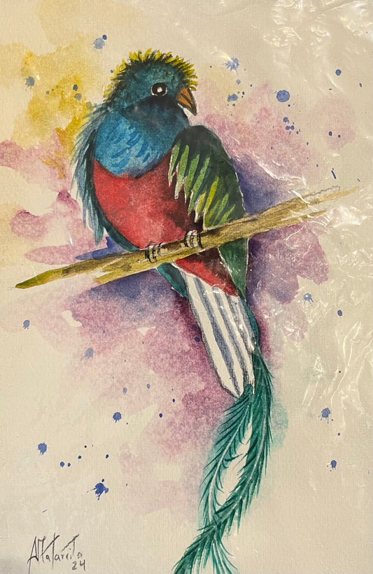 Costa Rican Wildlife Watercolors