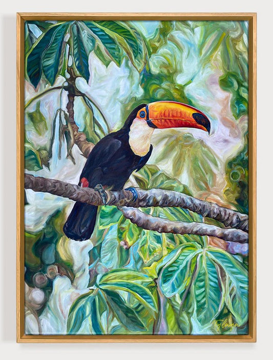 Toucan Toco