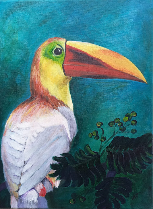 White Toucan 2