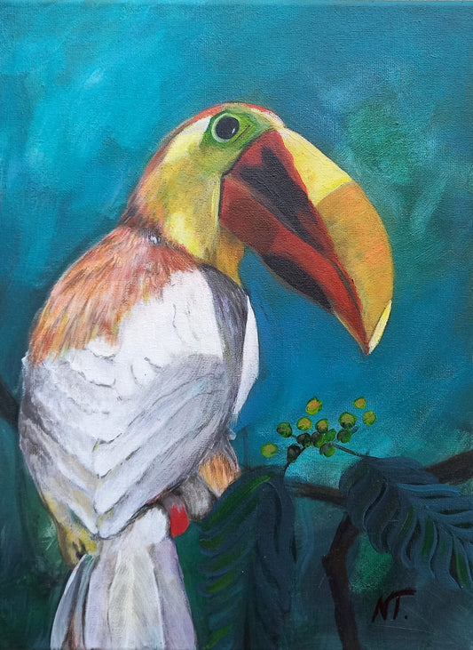 White Toucan 1