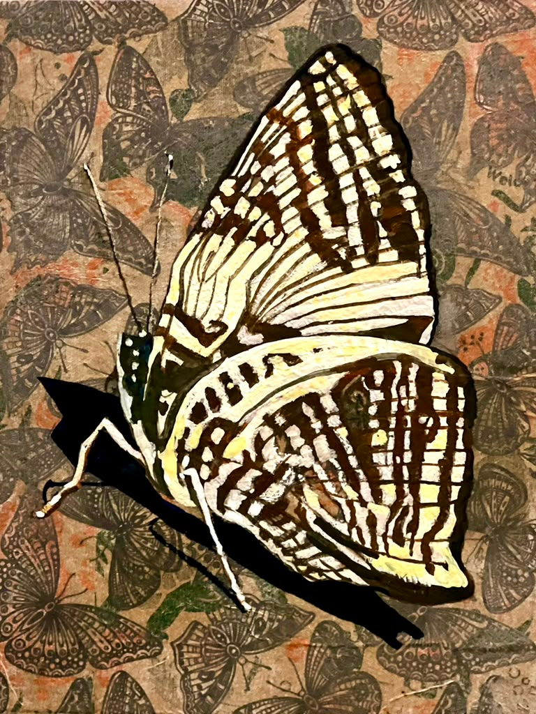 Small Beauty