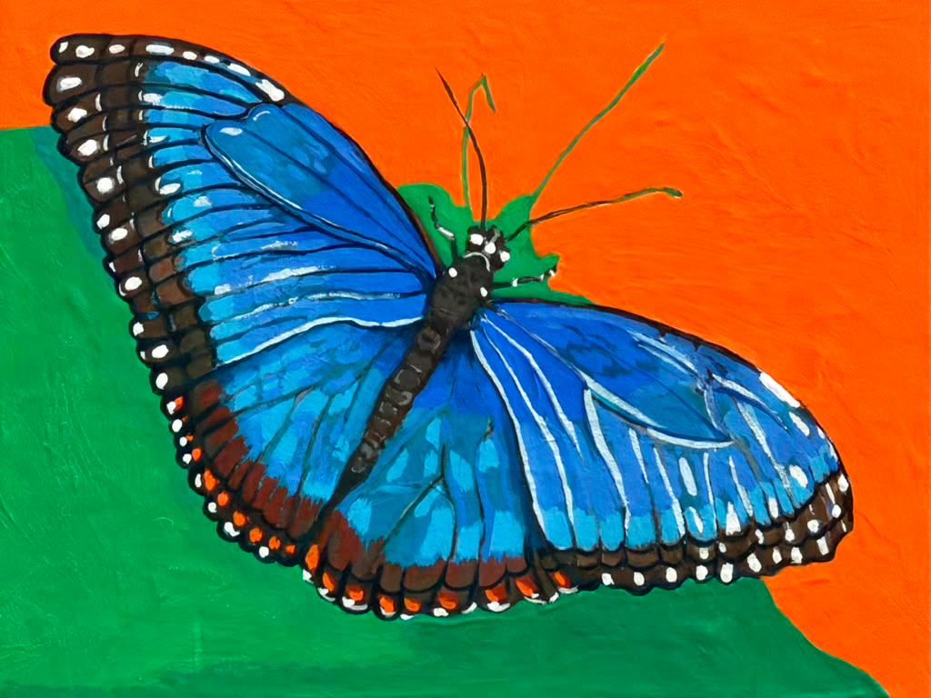 Uncommon Morpho