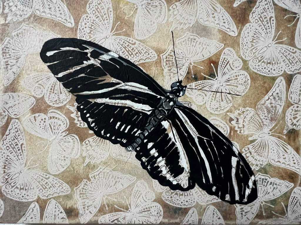 Zebra