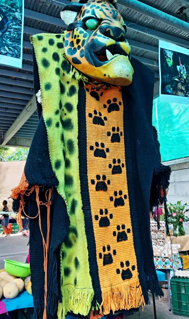 Ceremonial Jaguar Mask & Textile Display